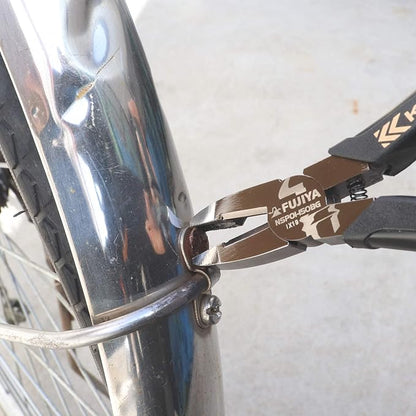 Fujiya Screw Removal Pliers (6.3", NSP01-150BG, KUROKIN)